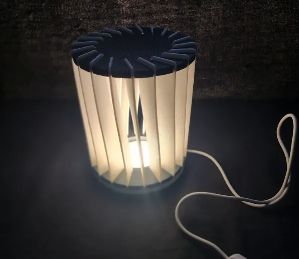 https://makerworld.bblmw.com/makerworld/model/US498721169efca7/design/2025-01-19_929d8b5cdd569.jpg