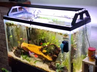 Aquarium Light Stand and retaining plates