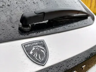 Peugeot 208 Rear Emblem Replacement (AMS)