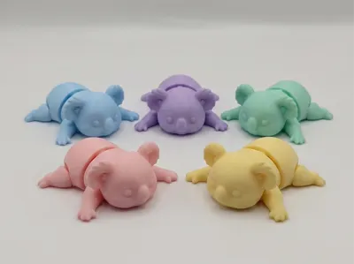 Flexi Koala