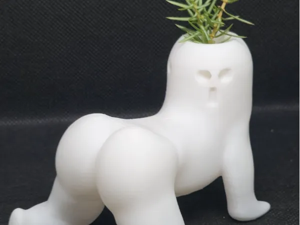 https://makerworld.bblmw.com/makerworld/model/US498e4d19a2f873/design/b66d87e5342a8922.jpg