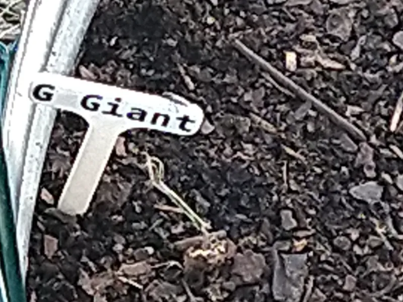 Gardening marker stake
