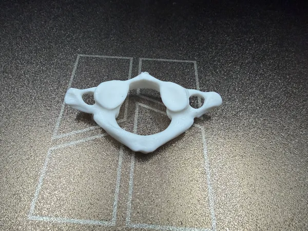 https://makerworld.bblmw.com/makerworld/model/US4991a9de2100c/design/d731af77a645622b.jpg
