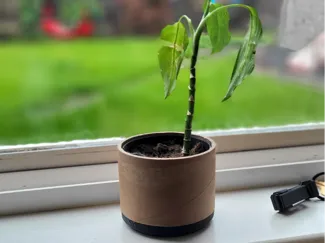 Self Watering Eco friendly Plant Pot