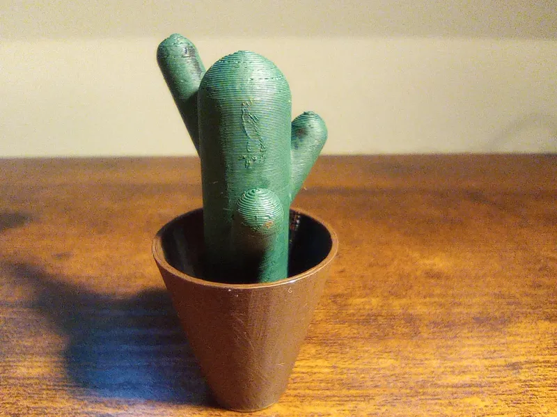 Cute little cactus | Desktop decoration