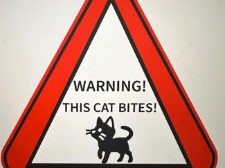 This cat bites