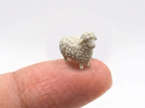 https://makerworld.bblmw.com/makerworld/model/US499c362e670f83/design/efd95f4839a6fb66.jpeg