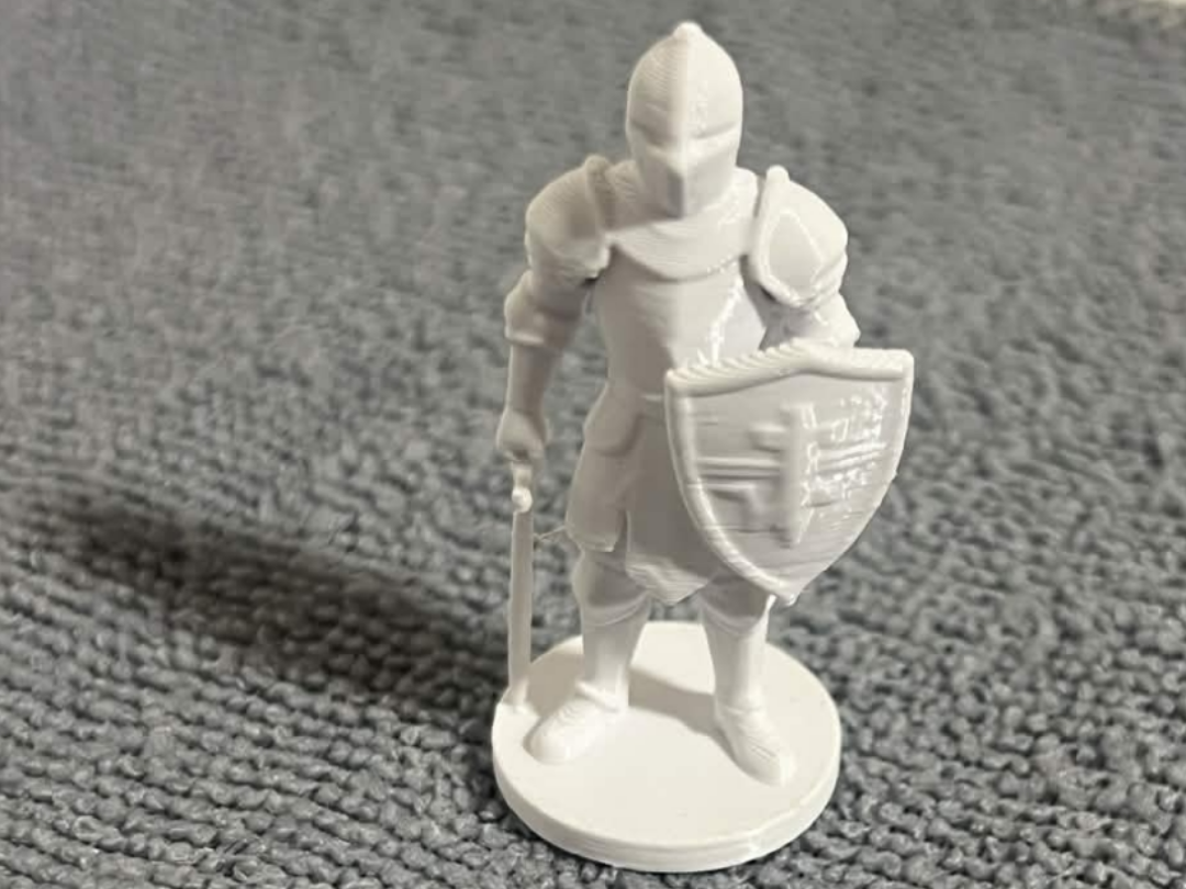 The Guardian Knight