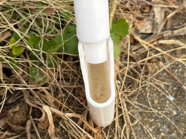Mosquito Dipper 