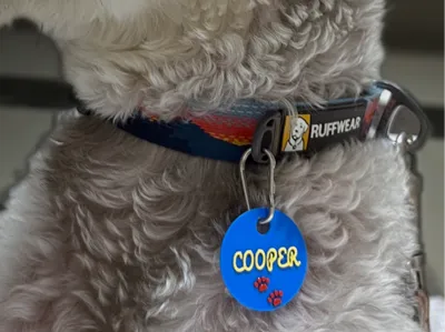 Pet tag