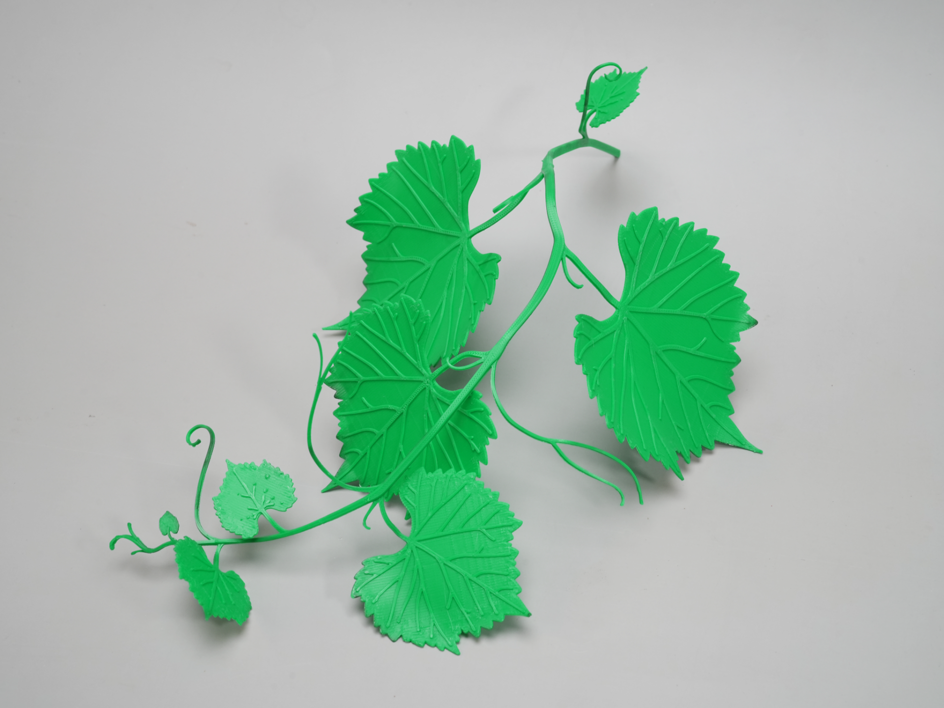 3D Grape Vine Branch or Bendable Grape Vine