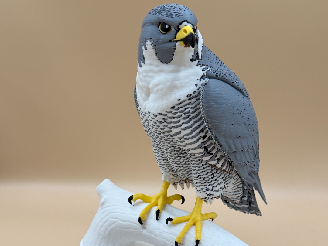 Skyhunter - Peregrine Falcon