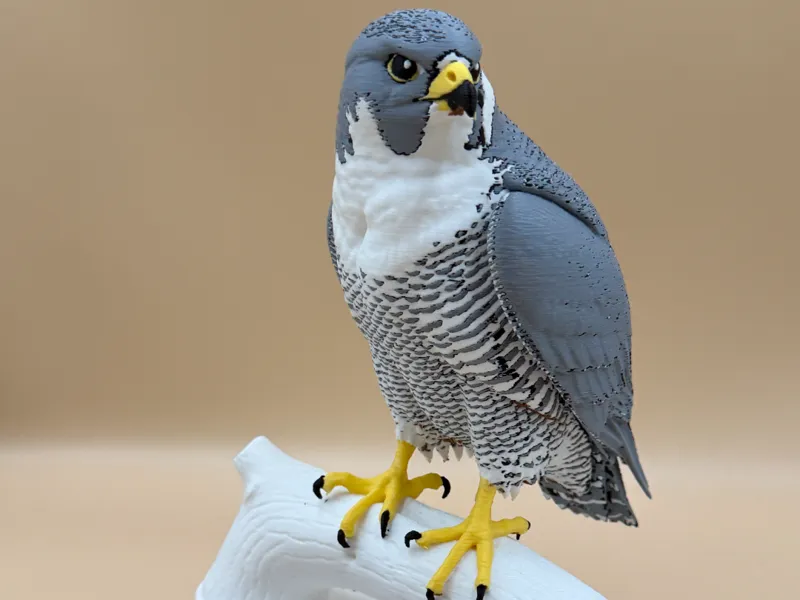 Skyhunter - Peregrine Falcon