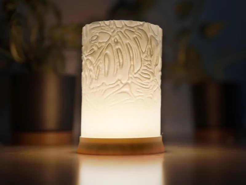 Lamp Monstera