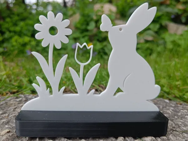 https://makerworld.bblmw.com/makerworld/model/US49aa4c361767f2/design/2025-04-15_564a9e837870a.jpg