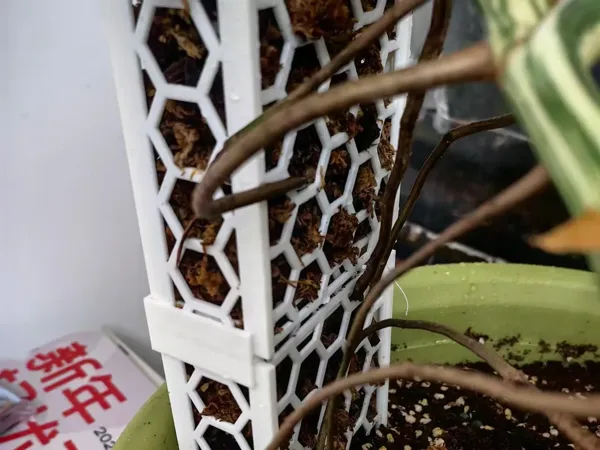 https://makerworld.bblmw.com/makerworld/model/US49aae17a7c090a/design/3475bc7c-8be0-4206-833a-83d0123d0807.webp