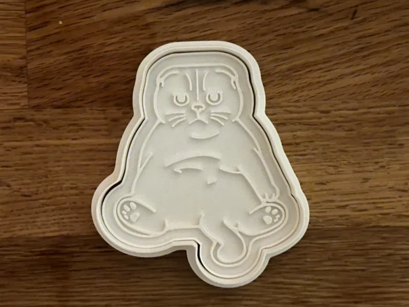 Cookie Cutter - Cat of Taylor Swift #1