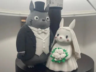 Topper torta Totoro