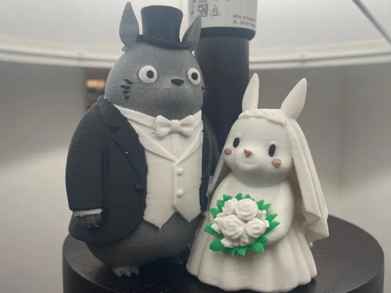 Topper torta Totoro