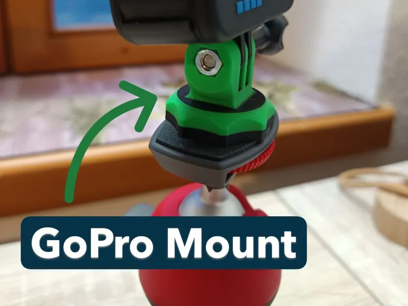 GoPro mount
