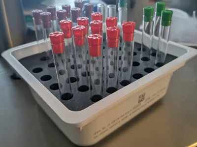 Test Tube Organizer