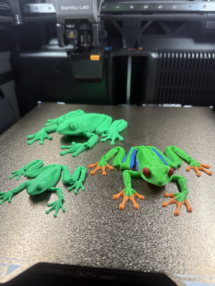 Tree Toad Bc Articulated Red-Eyed Tree Frog - Free 3D Print Model - MakerWorld