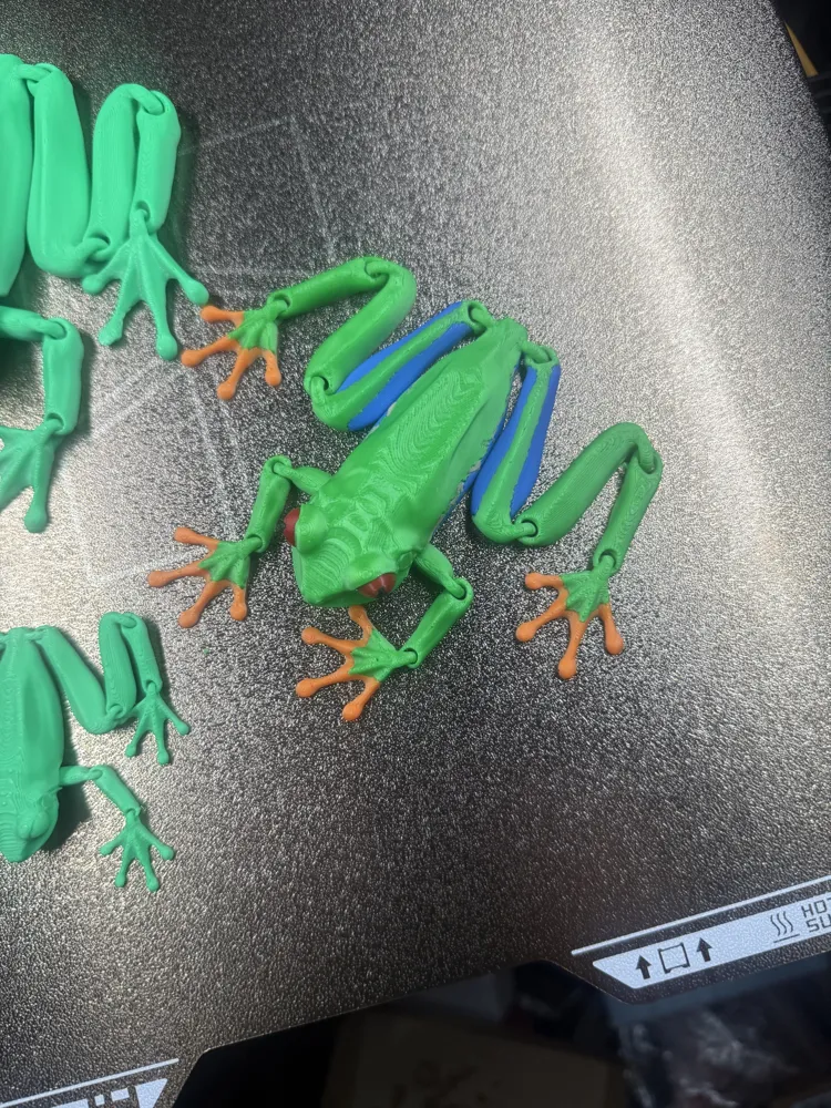 Tree Toad Bc Articulated Red-Eyed Tree Frog - Free 3D Print Model - MakerWorld