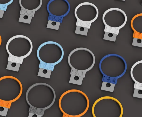 https://makerworld.bblmw.com/makerworld/model/US49c307dc92433c/design/2024-08-08_189ca35ffd40f8.png