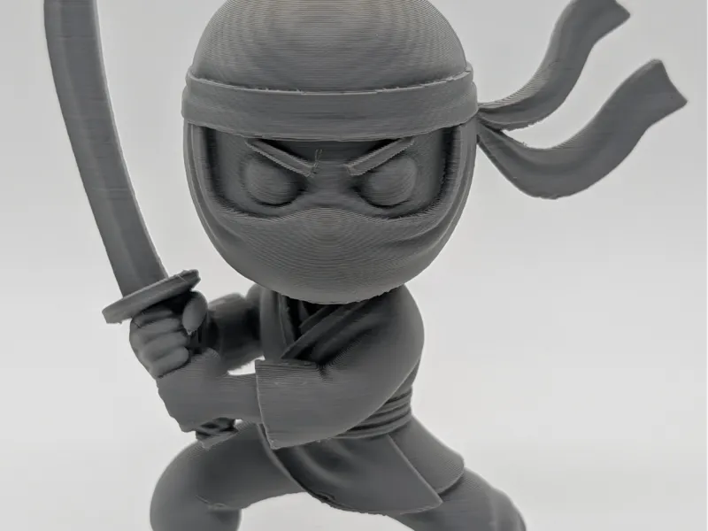 Ninja
