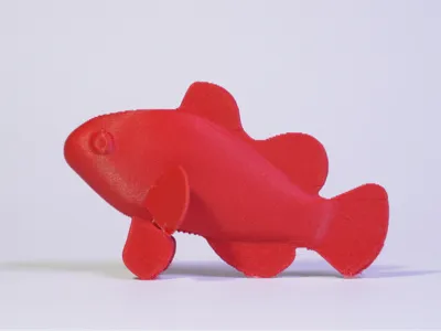 Clownfish // Nemo