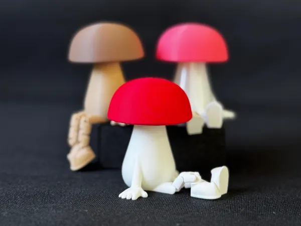 https://makerworld.bblmw.com/makerworld/model/US49ce15c4591c0/design/2025-09-24_52c9c2b7391888.jpg