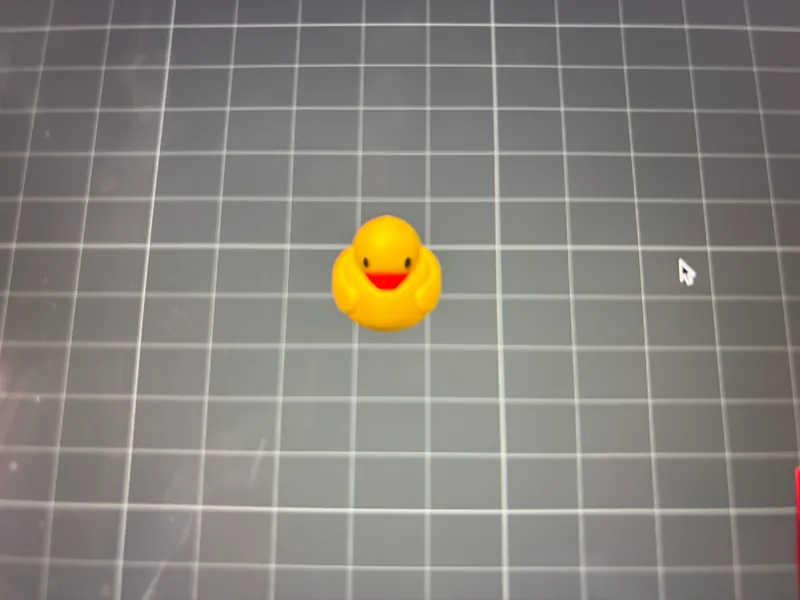 DUCK