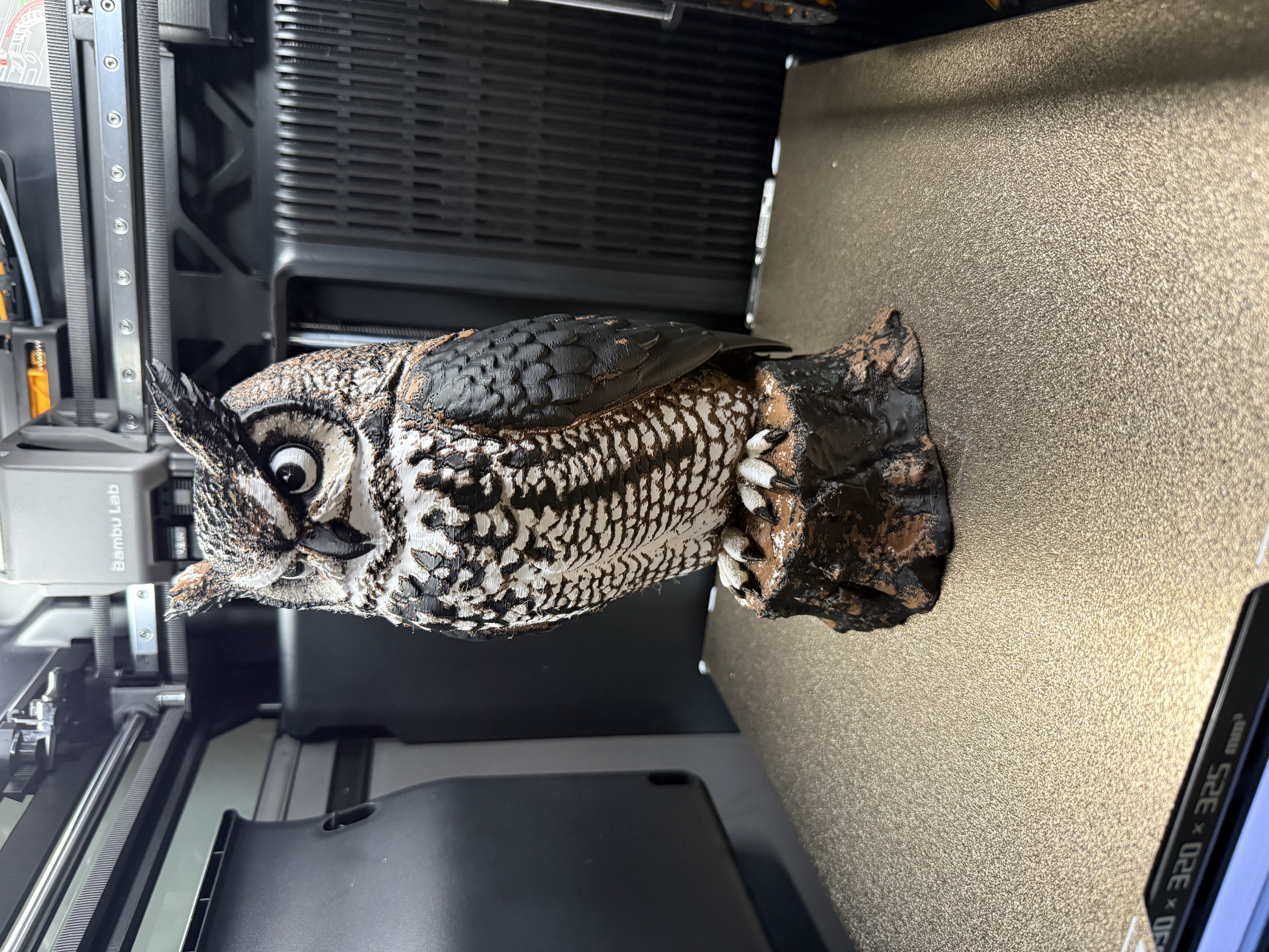 Miniatura 4 do modelo 3D The Watchful Owl
