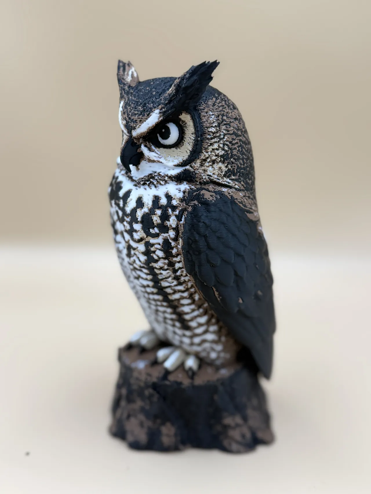 The Watchful Owl view 4
