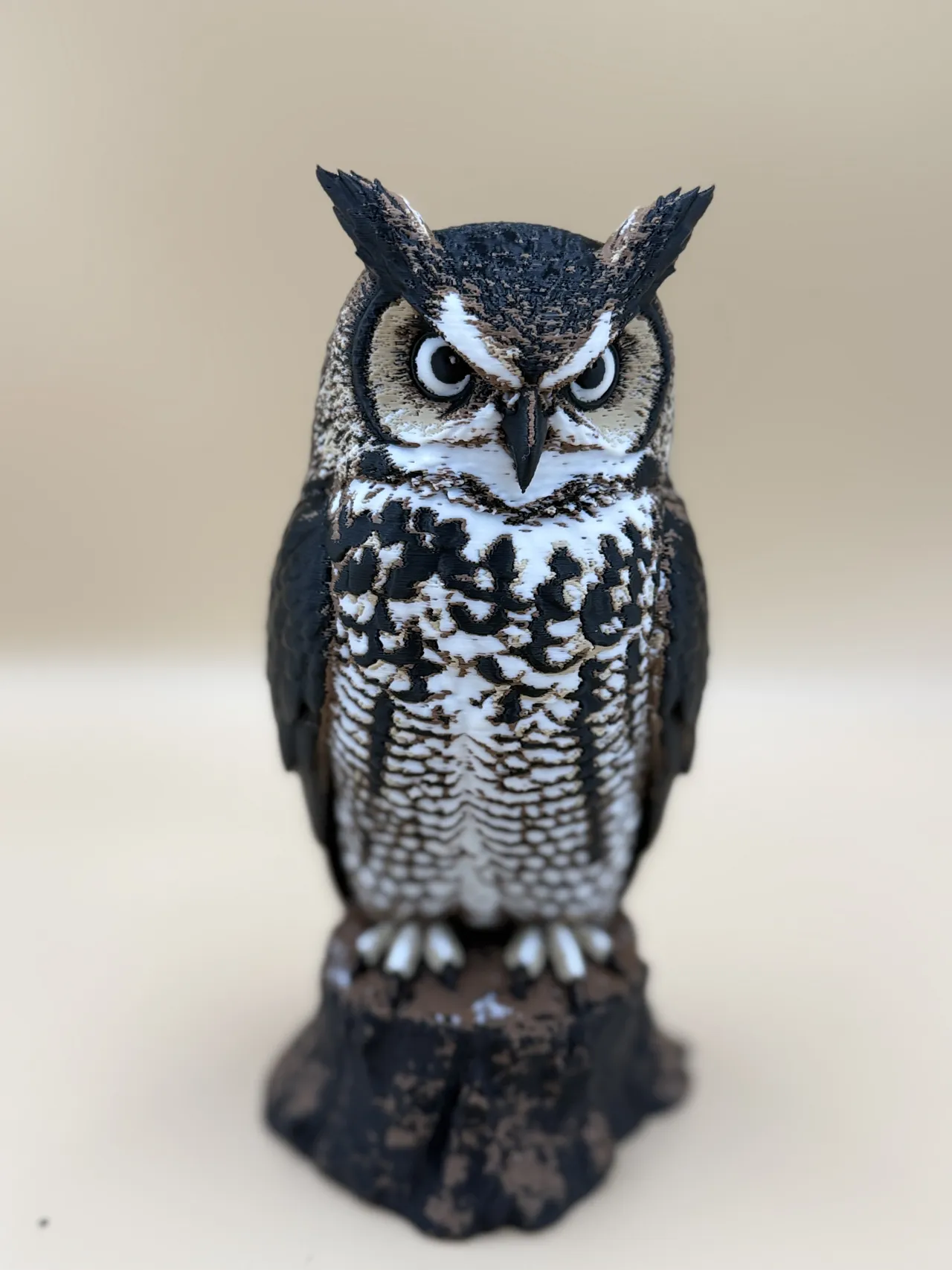 The Watchful Owl view 2