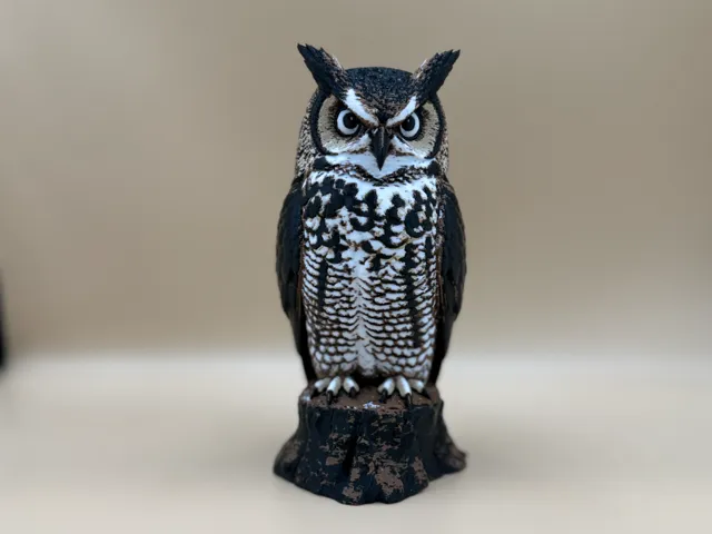 The Watchful Owl
