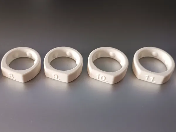 https://makerworld.bblmw.com/makerworld/model/US49d707eb77b101/design/2025-04-24_3c09cc4a0a25c8.jpg