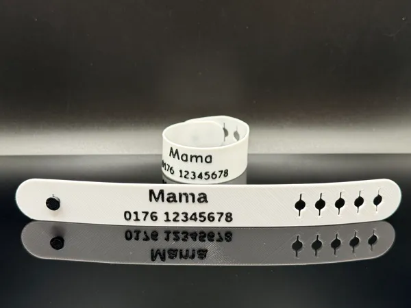 https://makerworld.bblmw.com/makerworld/model/US49dfc7e209e7ee/design/343c7cc9fb93a76f.jpeg