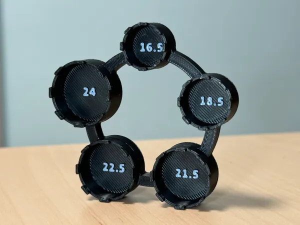 https://makerworld.bblmw.com/makerworld/model/US49e6c5d9e76910/design/2024-08-21_9a500f23abbe8.jpeg