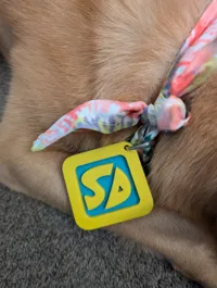 Médaille Scooby-Doo — photo 6