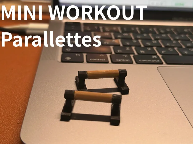 Mini workout Parallettes