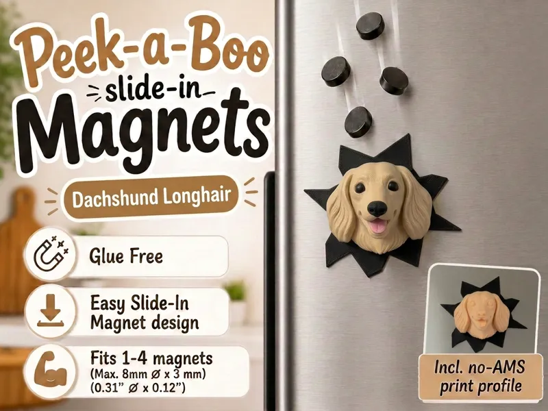 Dachshund Longhair Peek-a-Boo Slide-In Magnet