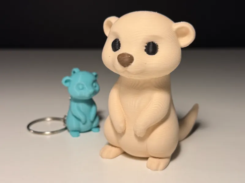Cute Meerkat