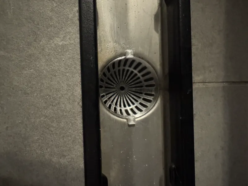 Shower Drain Catch