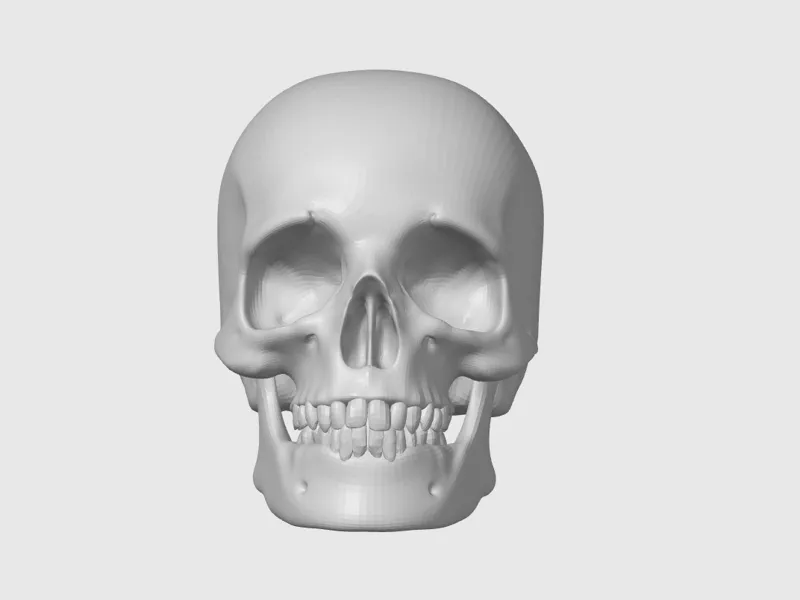 Skull