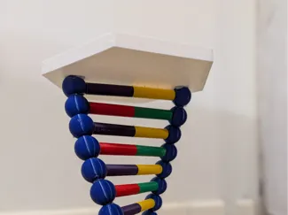 Modellino DNA per progetto di scuola
