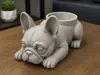 (Monocolor - 10 cm pot)