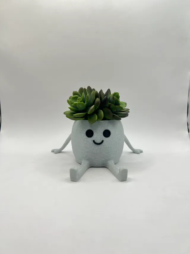 Happy Pot - Mini Succulent Planter