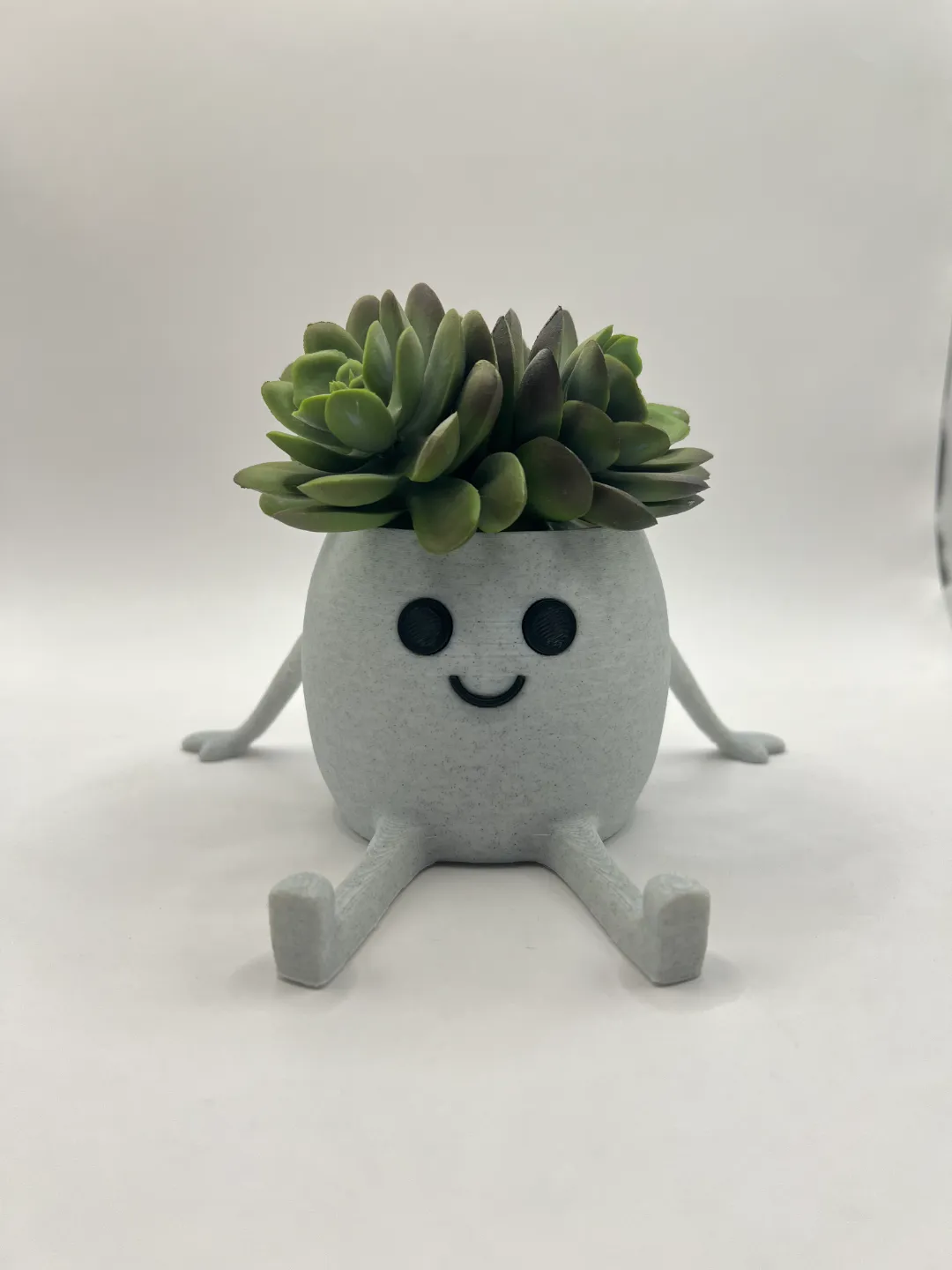 Happy Pot - Mini Succulent Planter view 4