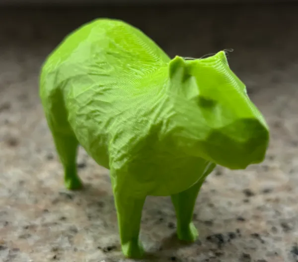 https://makerworld.bblmw.com/makerworld/model/US49f7878e54b39a/design/2024-06-15_929c49ca0b78a.jpeg